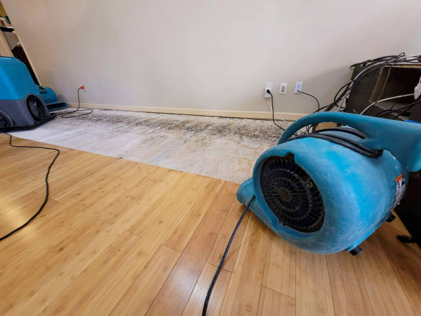 Professional Emergency Water Damage technician working in Eola, IL